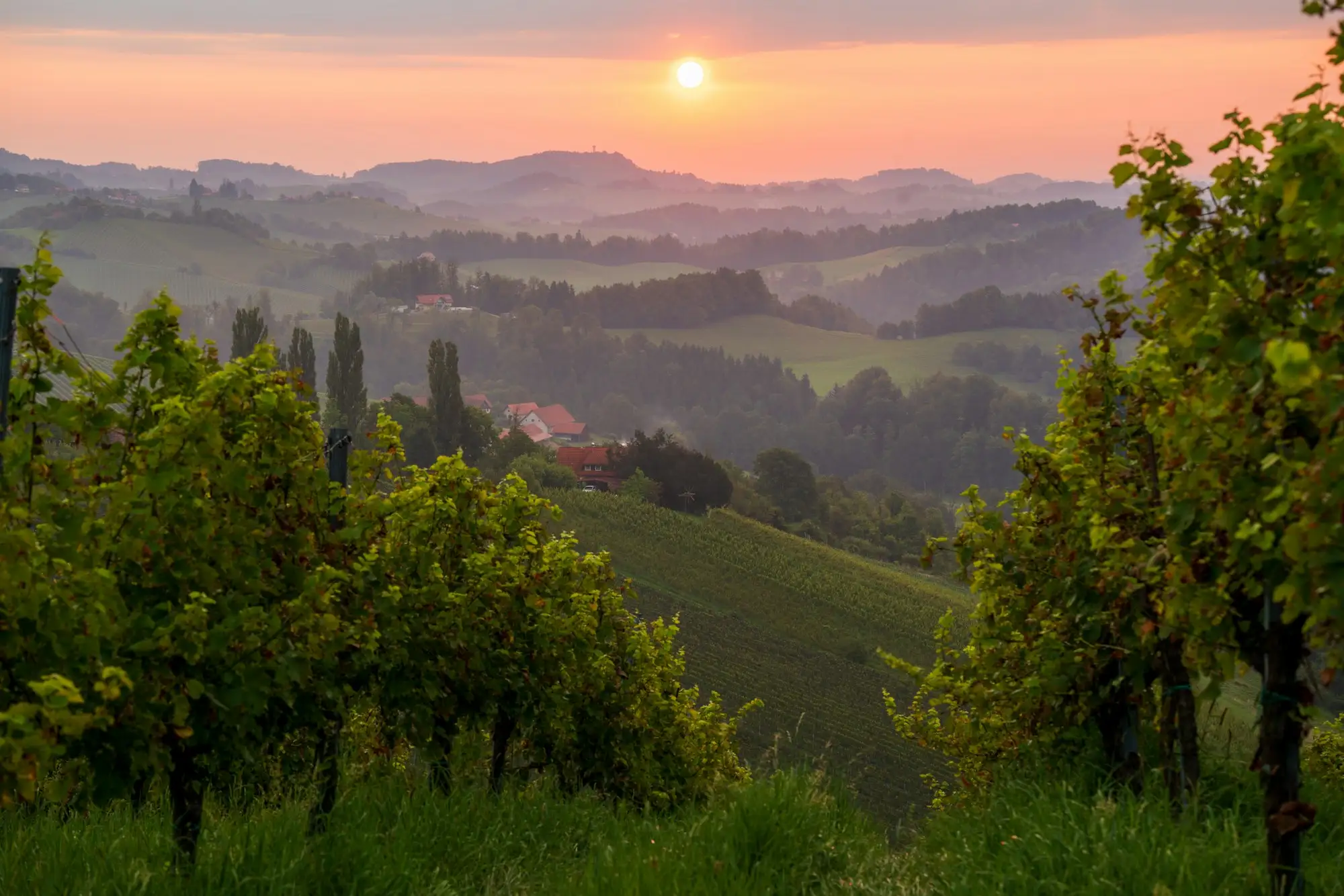 Hügellandschaft des Hegau bei Steißlingen